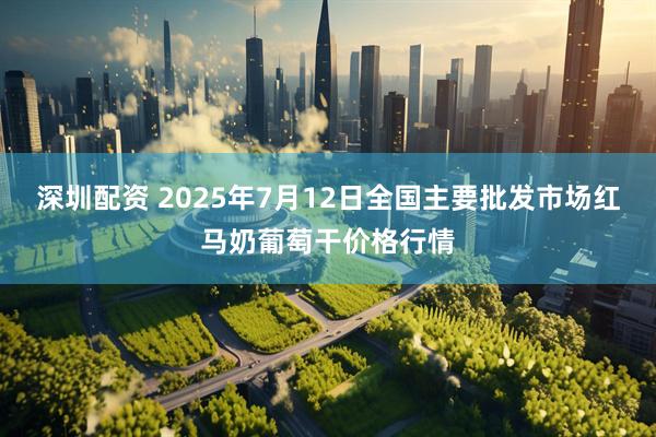 深圳配资 2025年7月12日全国主要批发市场红马奶葡萄干价格行情